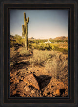 Load image into Gallery viewer, Phoenix Cactus Hill