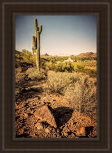 Load image into Gallery viewer, Phoenix Cactus Hill