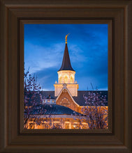 Load image into Gallery viewer, Provo City Center Blue and Gold