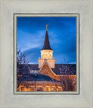 Load image into Gallery viewer, Provo City Center Blue and Gold