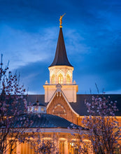 Load image into Gallery viewer, Provo City Center Blue and Gold