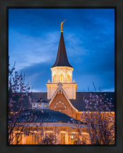 Load image into Gallery viewer, Provo City Center Blue and Gold