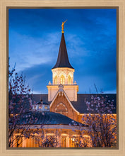 Load image into Gallery viewer, Provo City Center Blue and Gold