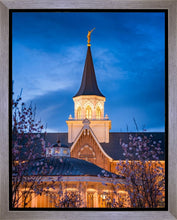 Load image into Gallery viewer, Provo City Center Blue and Gold