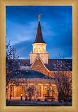 Load image into Gallery viewer, Provo City Center Blue and Gold