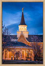 Load image into Gallery viewer, Provo City Center Blue and Gold