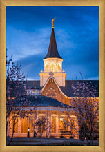 Load image into Gallery viewer, Provo City Center Blue and Gold