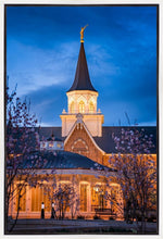 Load image into Gallery viewer, Provo City Center Blue and Gold