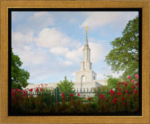 Load image into Gallery viewer, Sacramento Flowers