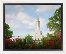 Load image into Gallery viewer, Sacramento Flowers