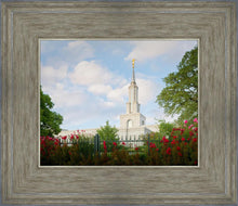 Load image into Gallery viewer, Sacramento Flowers