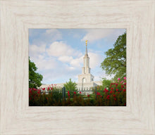 Load image into Gallery viewer, Sacramento Flowers