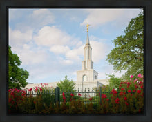 Load image into Gallery viewer, Sacramento Flowers