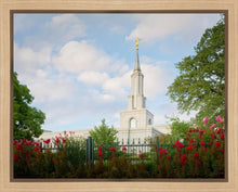 Load image into Gallery viewer, Sacramento Flowers