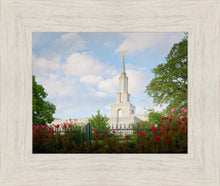 Load image into Gallery viewer, Sacramento Flowers