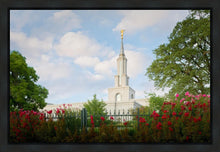 Load image into Gallery viewer, Sacramento Flowers