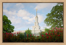 Load image into Gallery viewer, Sacramento Flowers