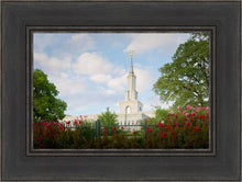 Load image into Gallery viewer, Sacramento Flowers