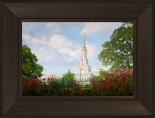 Load image into Gallery viewer, Sacramento Flowers