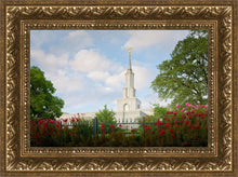 Load image into Gallery viewer, Sacramento Flowers