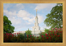 Load image into Gallery viewer, Sacramento Flowers