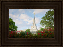 Load image into Gallery viewer, Sacramento Flowers
