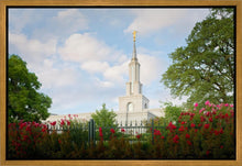 Load image into Gallery viewer, Sacramento Flowers