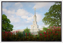Load image into Gallery viewer, Sacramento Flowers
