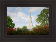 Load image into Gallery viewer, Sacramento Flowers