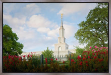Load image into Gallery viewer, Sacramento Flowers