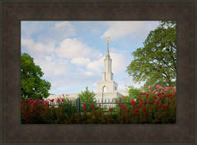 Load image into Gallery viewer, Sacramento Flowers