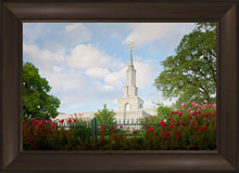 Load image into Gallery viewer, Sacramento Flowers
