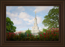 Load image into Gallery viewer, Sacramento Flowers