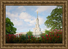 Load image into Gallery viewer, Sacramento Flowers