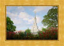 Load image into Gallery viewer, Sacramento Flowers