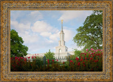 Load image into Gallery viewer, Sacramento Flowers
