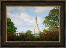 Load image into Gallery viewer, Sacramento Flowers