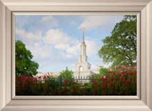 Load image into Gallery viewer, Sacramento Flowers