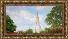 Load image into Gallery viewer, Sacramento Flowers