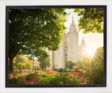 Load image into Gallery viewer, Salt Lake - The Lord is My Light