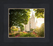 Load image into Gallery viewer, Salt Lake - The Lord is My Light