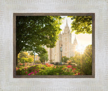 Load image into Gallery viewer, Salt Lake - The Lord is My Light