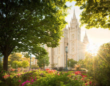 Load image into Gallery viewer, Salt Lake - The Lord is My Light