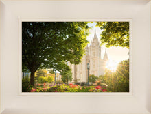 Load image into Gallery viewer, Salt Lake - The Lord is My Light