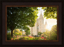 Load image into Gallery viewer, Salt Lake - The Lord is My Light