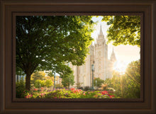 Load image into Gallery viewer, Salt Lake - The Lord is My Light