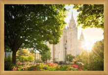 Load image into Gallery viewer, Salt Lake - The Lord is My Light