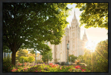 Load image into Gallery viewer, Salt Lake - The Lord is My Light
