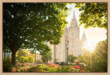 Load image into Gallery viewer, Salt Lake - The Lord is My Light