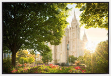 Load image into Gallery viewer, Salt Lake - The Lord is My Light